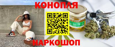 гашик Шахты